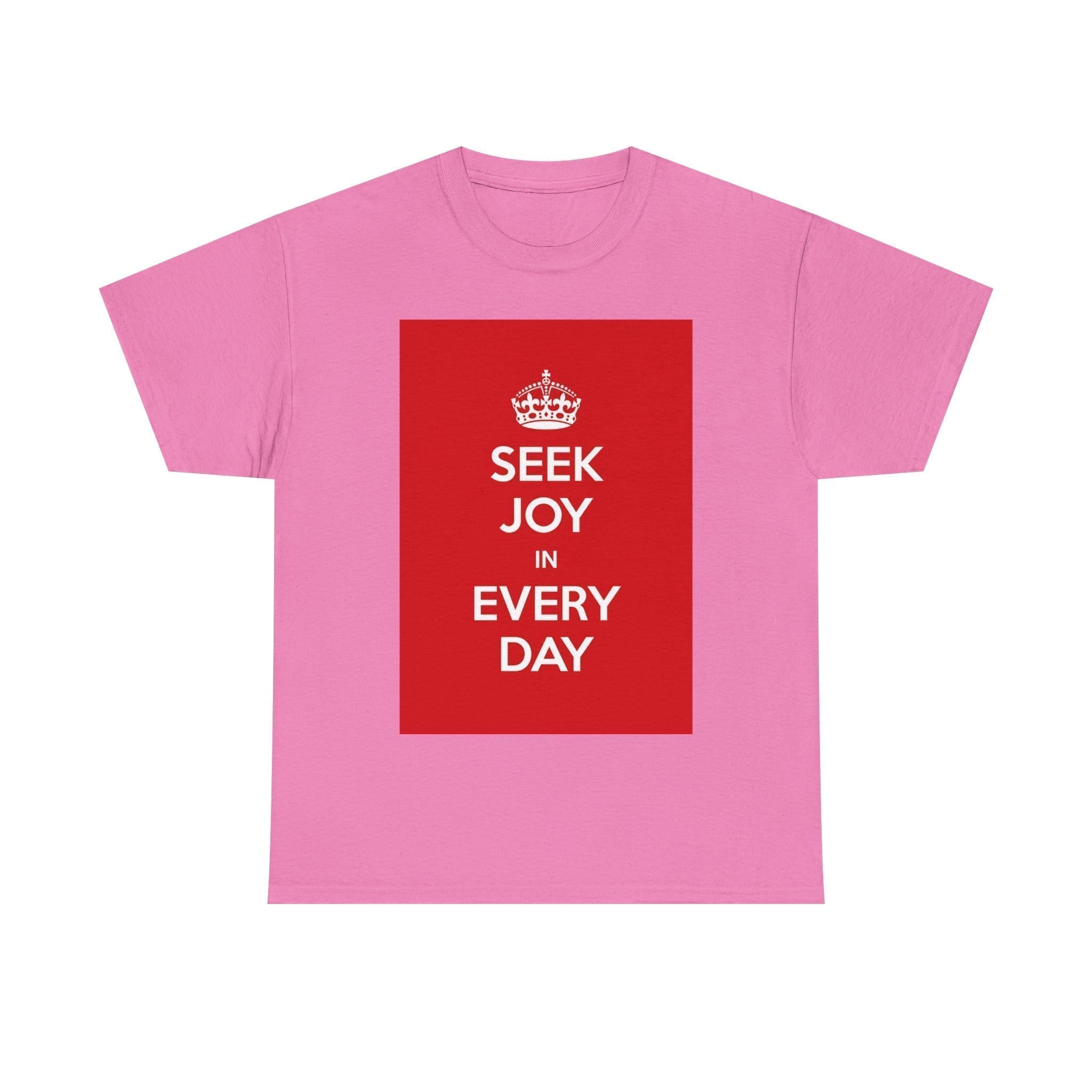 Seek joy in every day unisex heavy cotton tee  _57_2048.jpeg