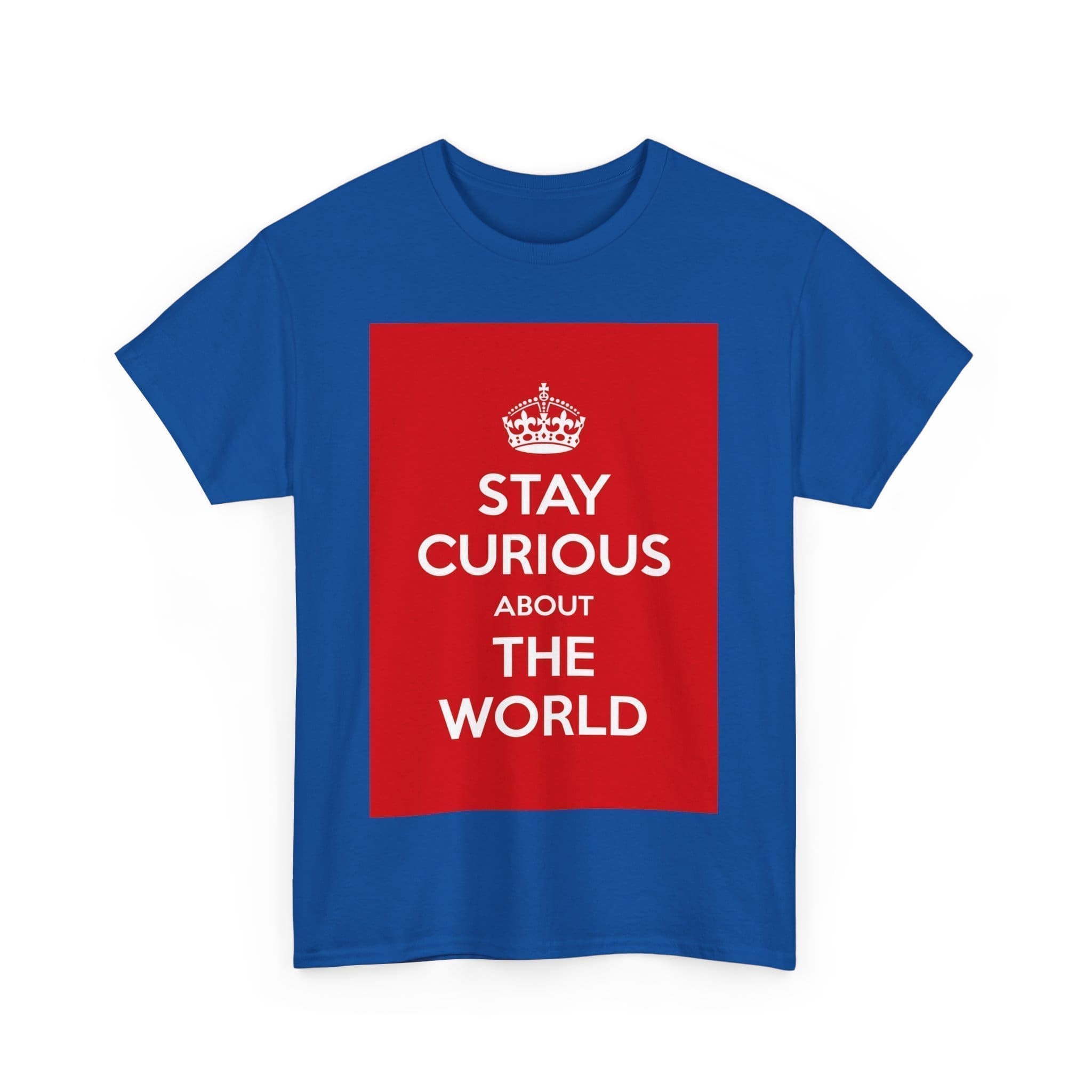 Stay Curious about the world unisex heavy cotton tee  _51_2048.jpeg