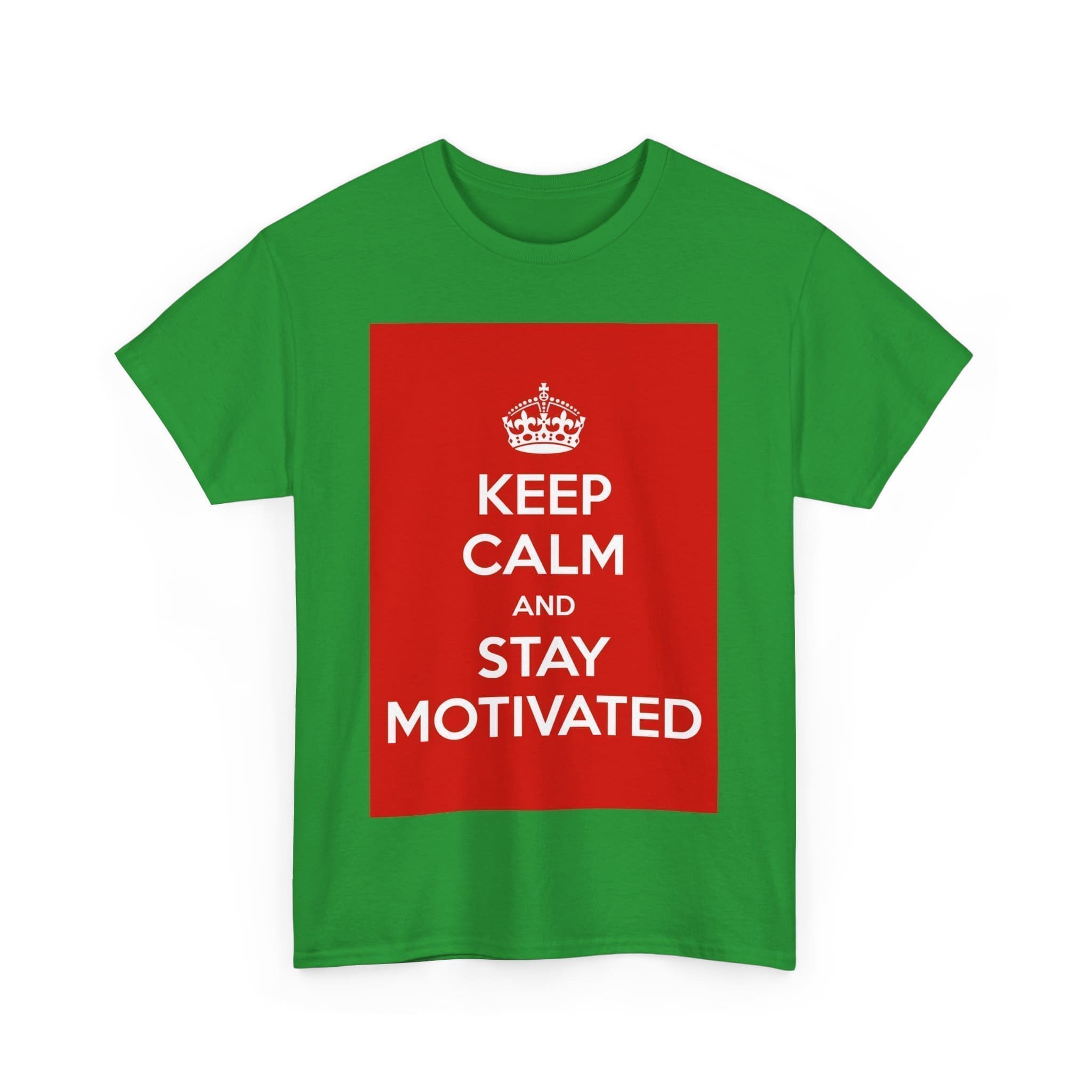 Keep Calm & stay motivated unisex heavy cotton tee  _47_2048.jpeg