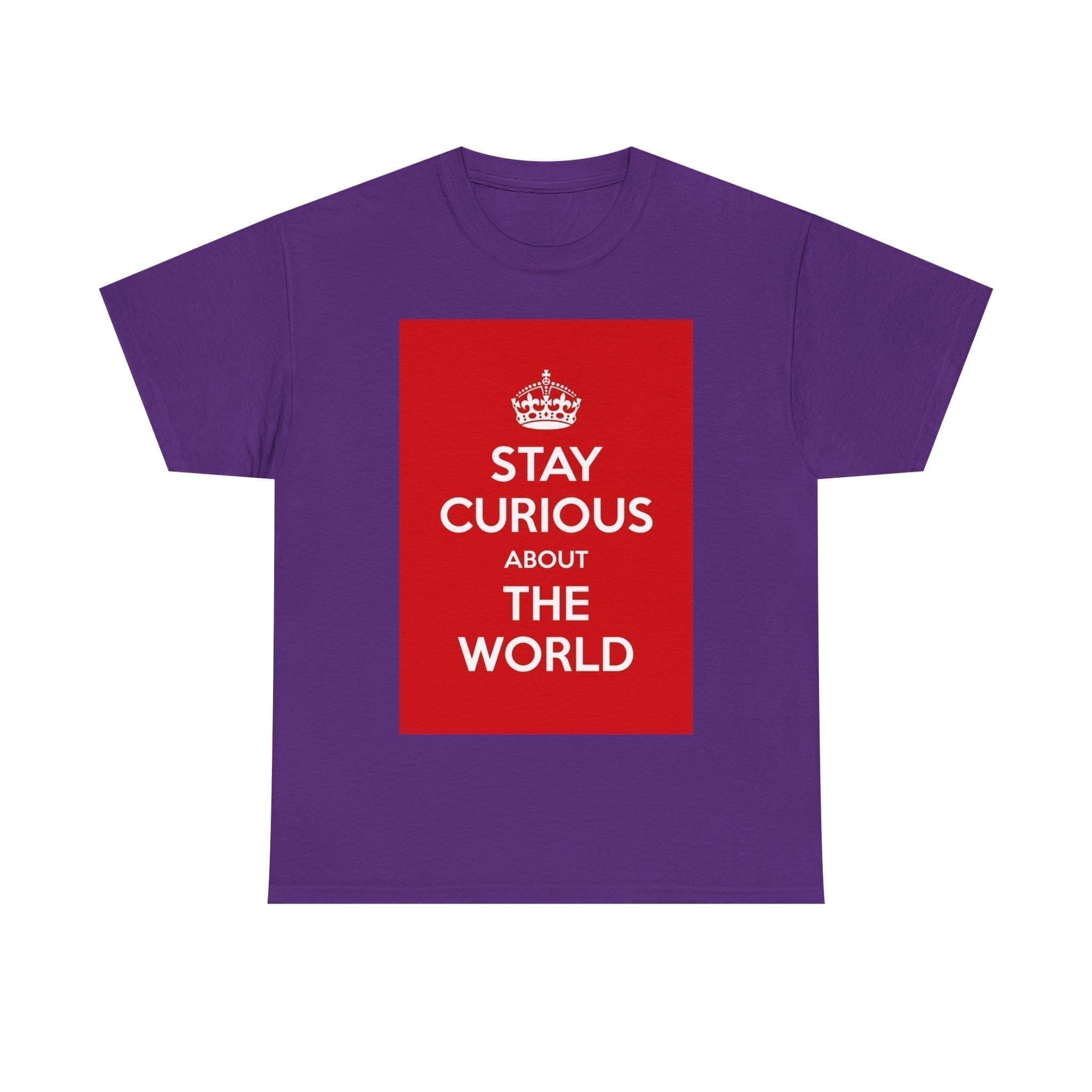 Stay Curious about the world unisex heavy cotton tee  _53_2048.jpeg