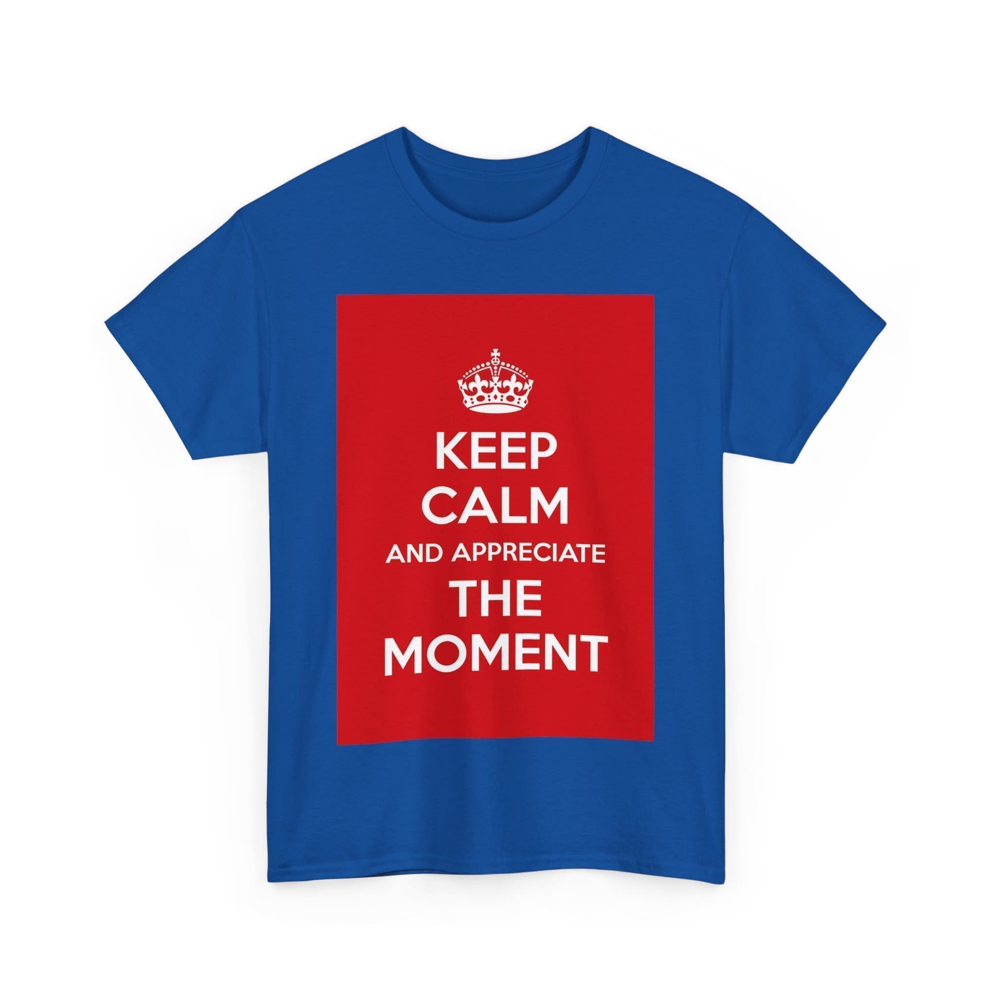 Keep Calm & appreciate the moment unisex heavy cotton tee  _51_2048.jpeg