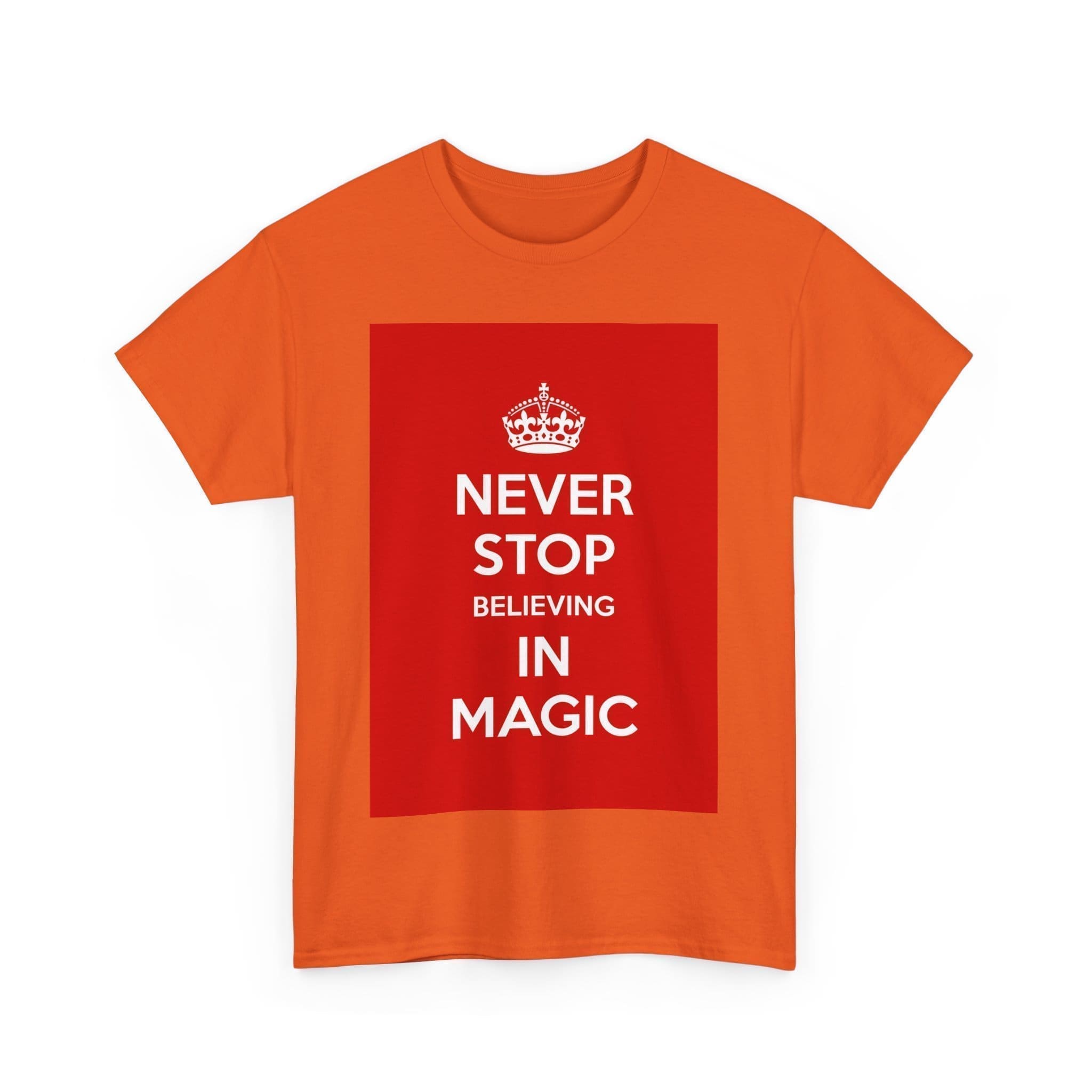 Never Stop believing in magic unisex heavy cotton tee  _43_2048.jpeg