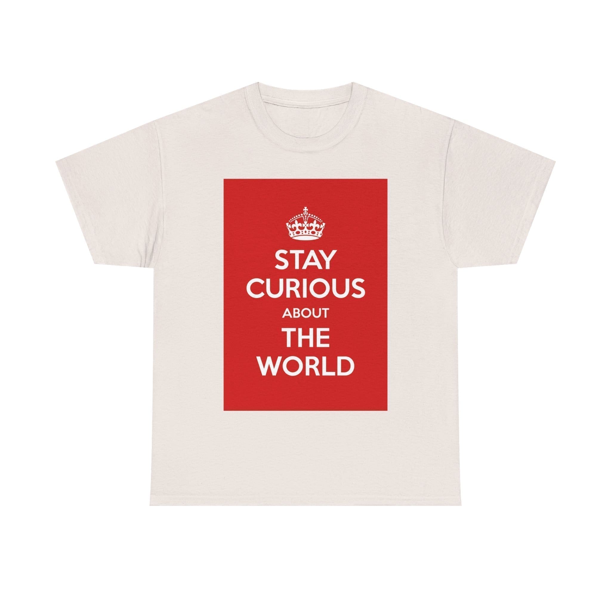 Stay Curious about the world unisex heavy cotton tee  _33_2048.jpeg