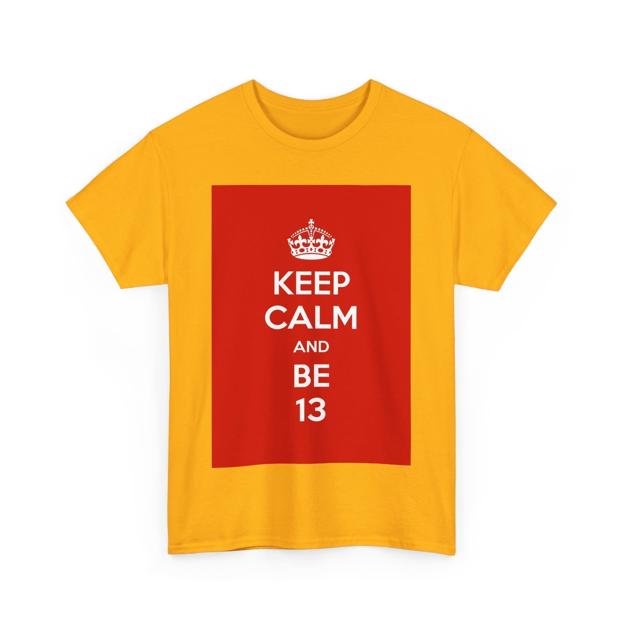 Keep Calm & be 13 unisex heavy cotton tee  _39_2048.jpeg