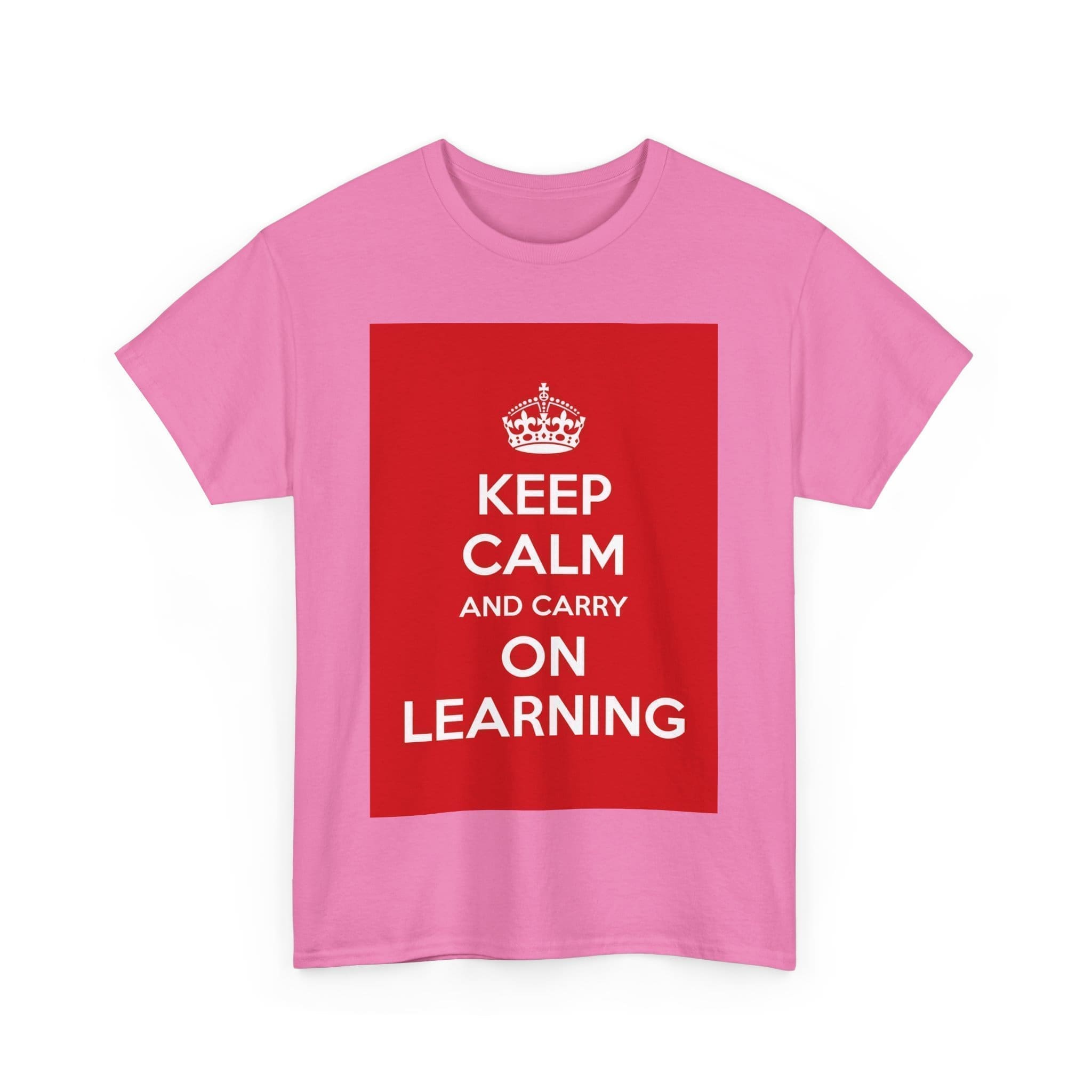 Keep Calm & carry on learning unisex heavy cotton tee  _59_2048.jpeg