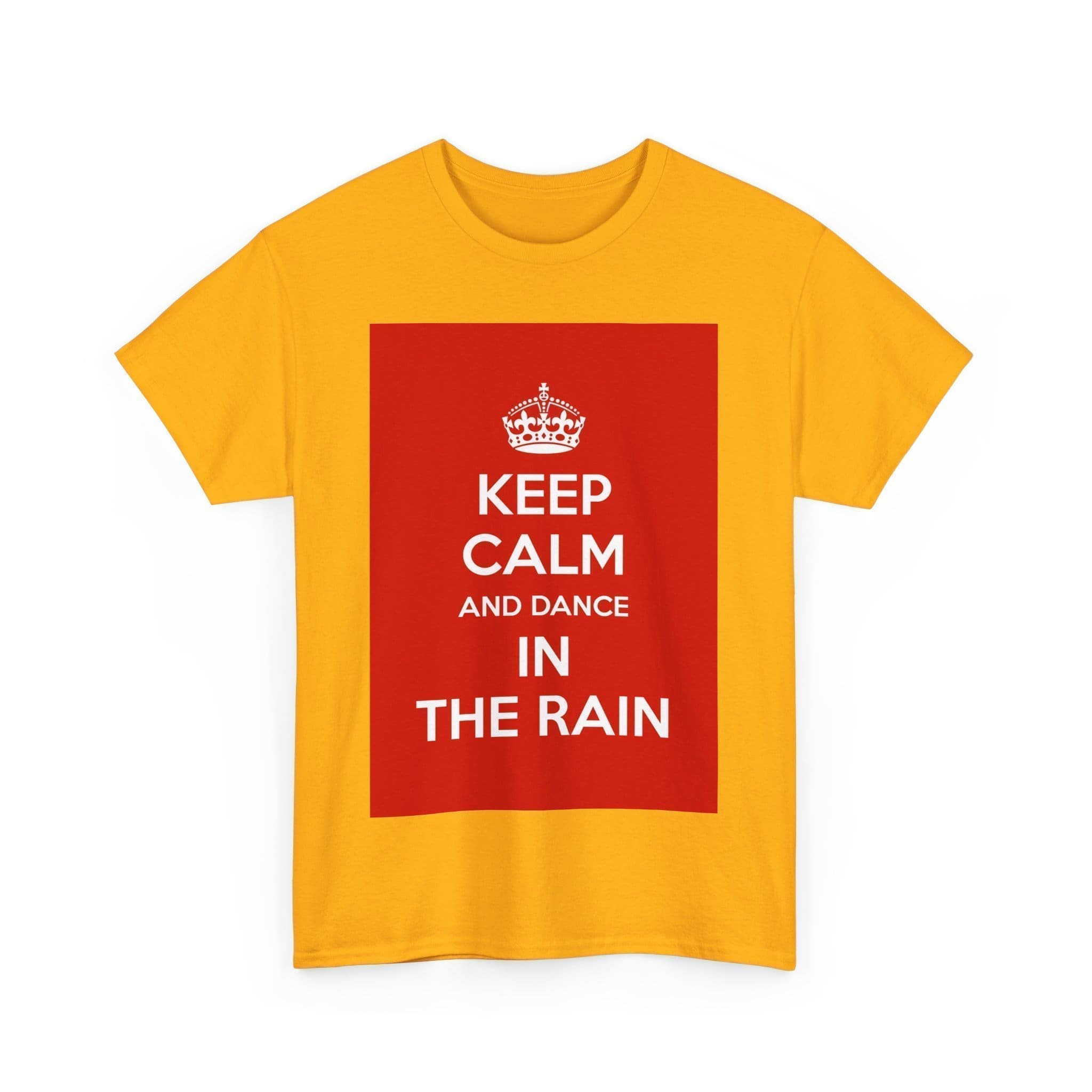 Keep Calm & dance in the rain unisex heavy cotton tee  _39_2048.jpeg