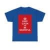 Keep Calm & be grateful unisex heavy cotton tee  _49_2048.jpeg