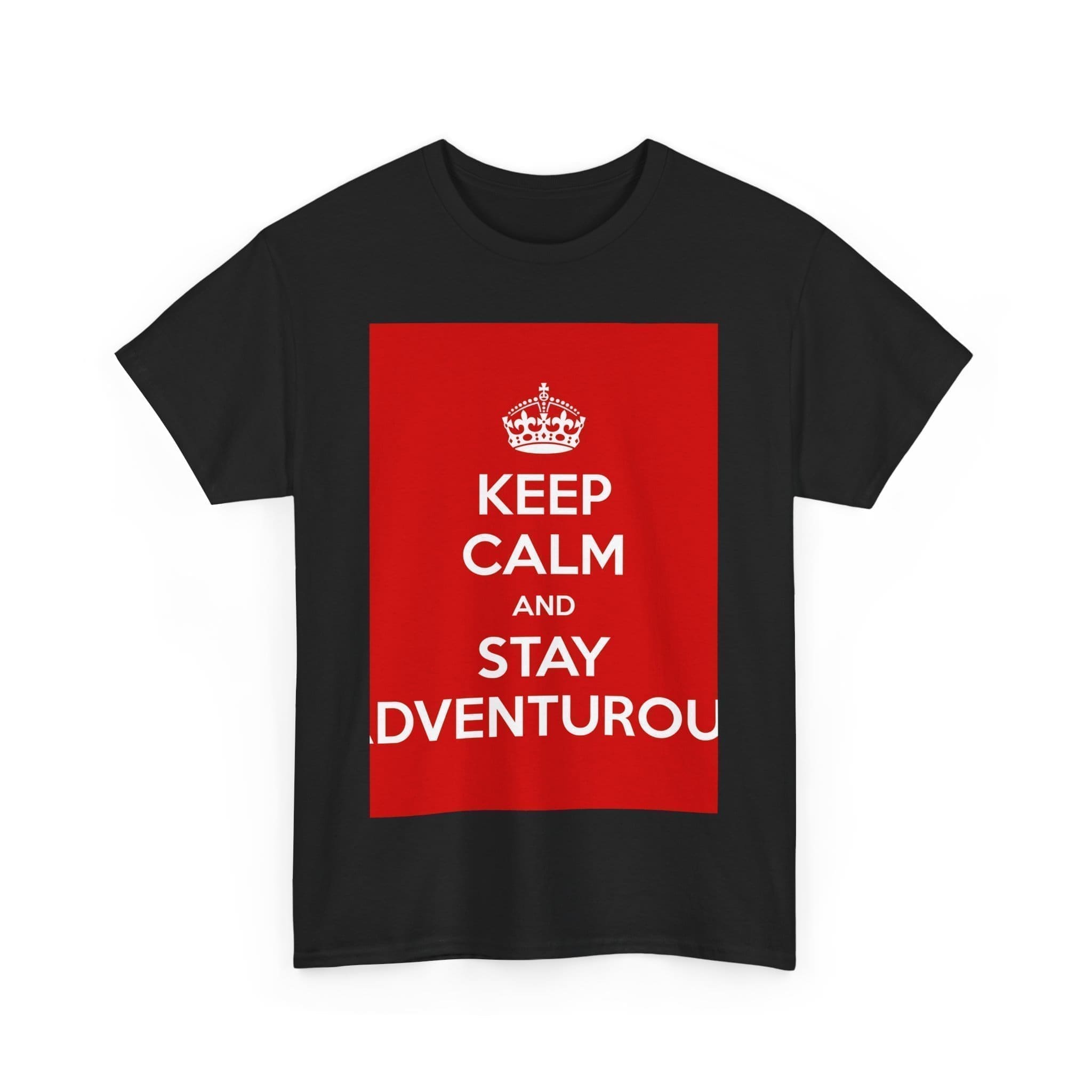 Keep Calm & stay adventurou unisex heavy cotton tee  _31_2048.jpeg