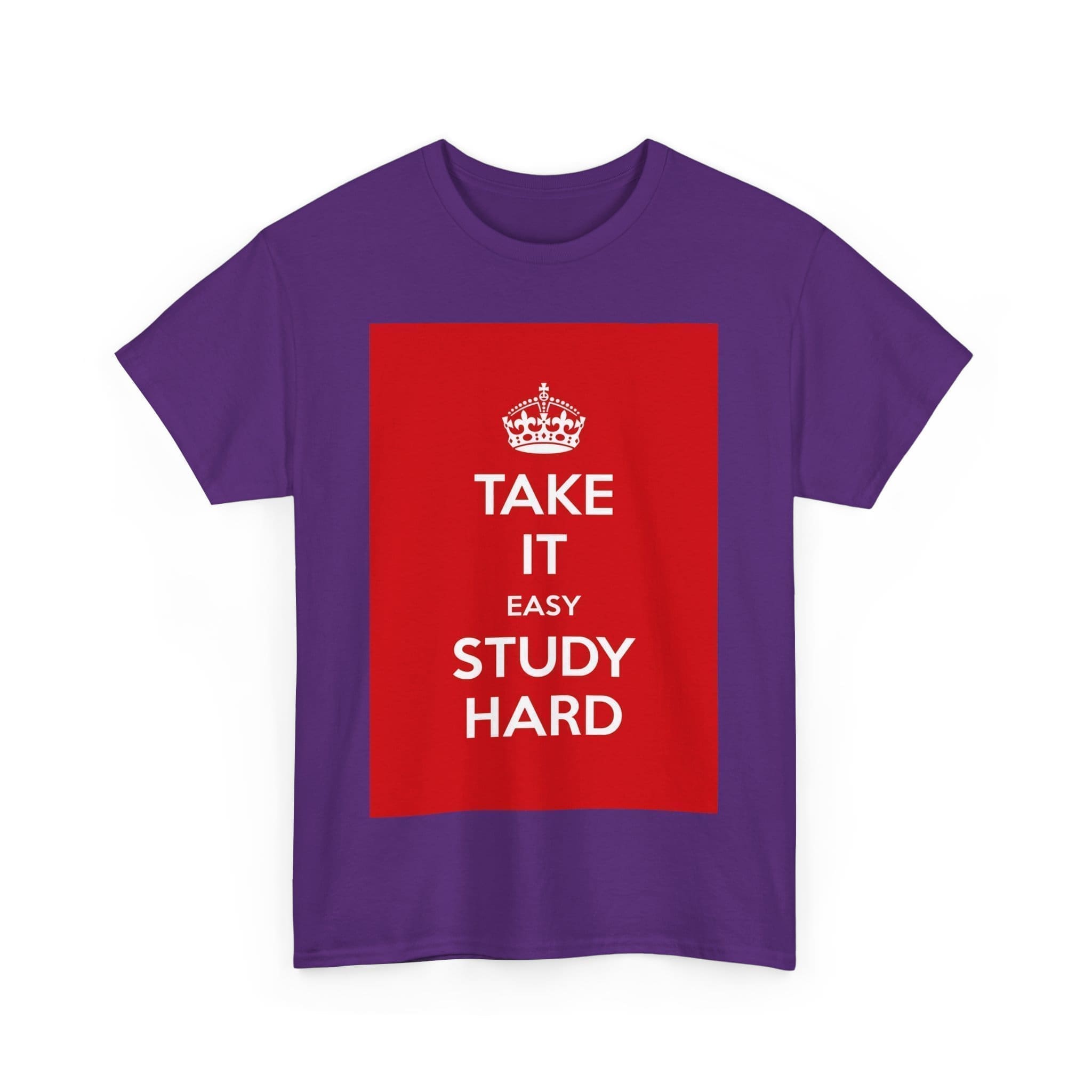 Take it easy study hard unisex heavy cotton tee  _55_2048.jpeg