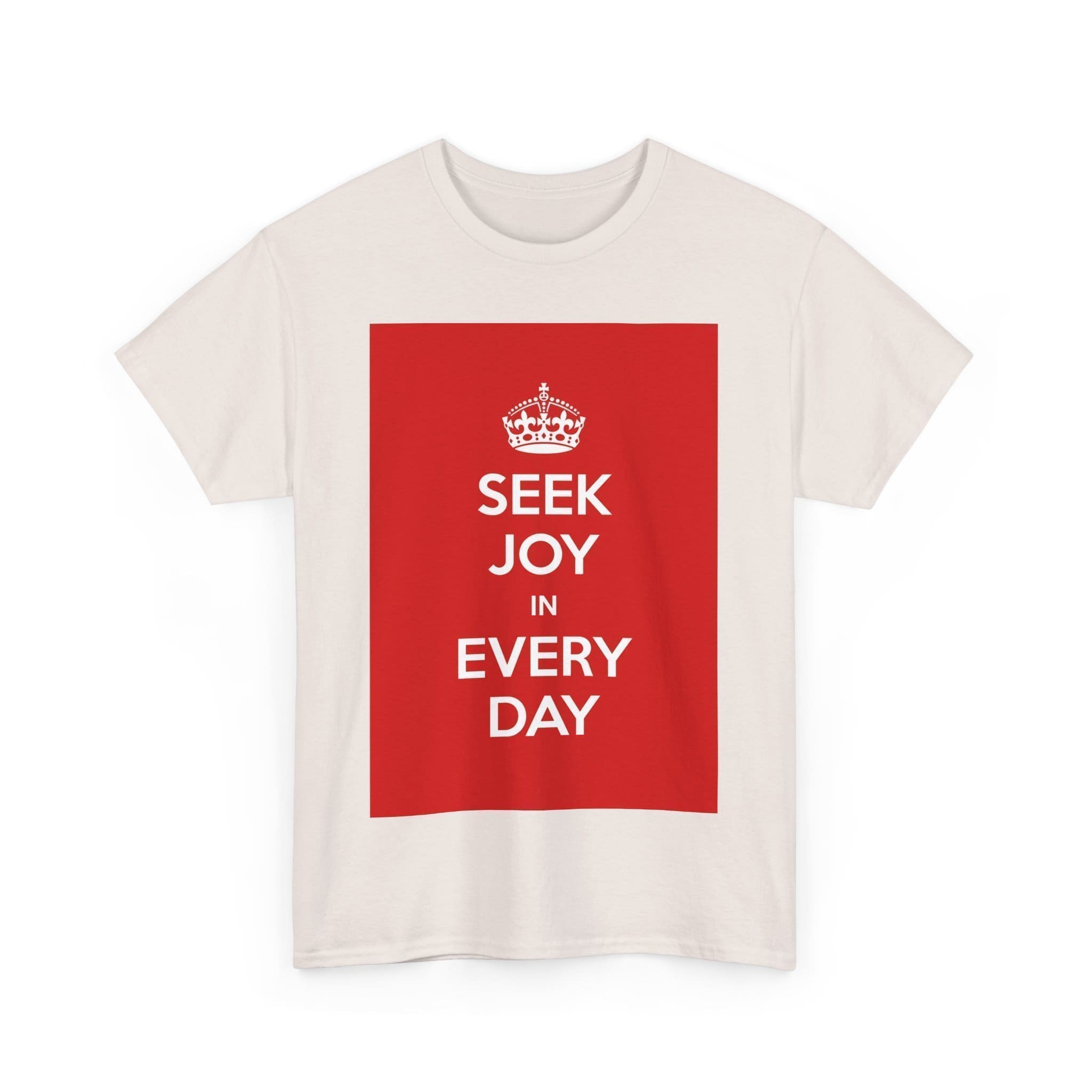 Seek joy in every day unisex heavy cotton tee  _35_2048.jpeg
