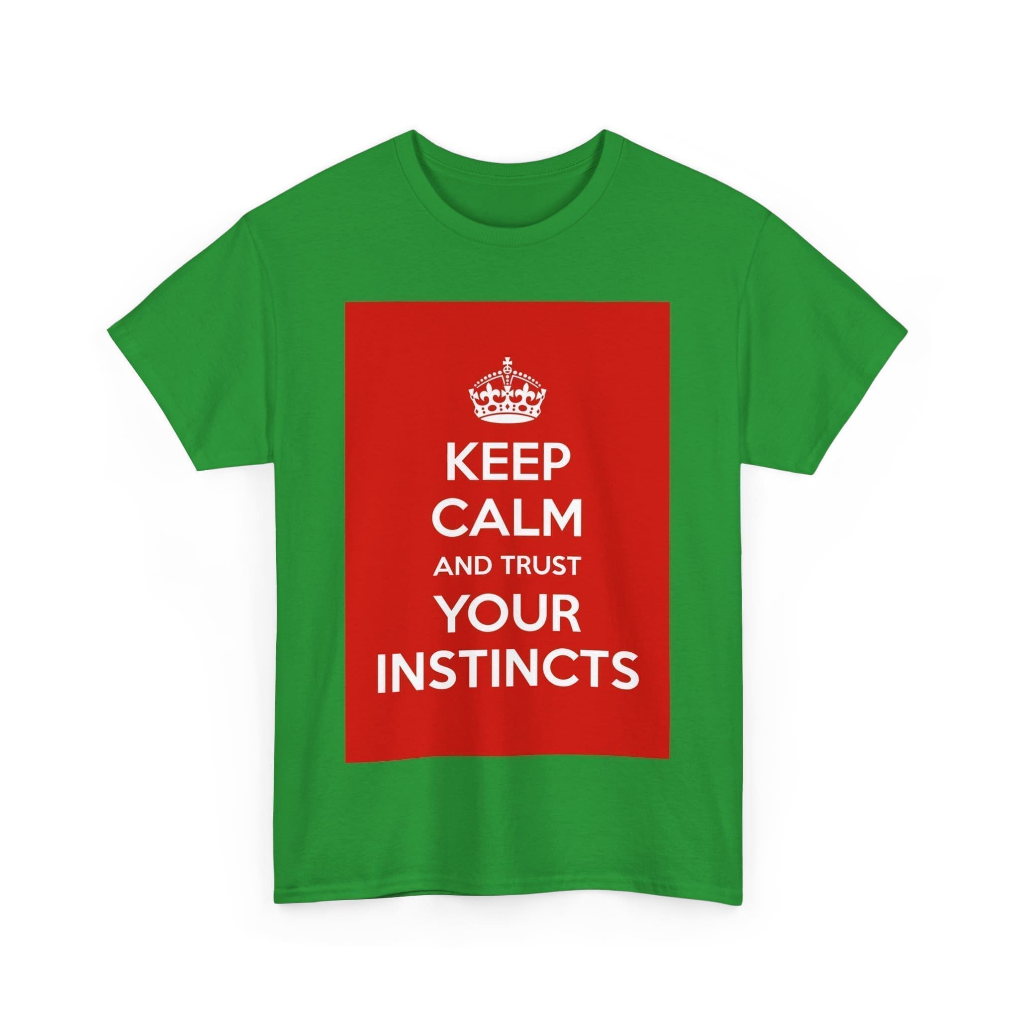 Keep Calm & trust your instincts unisex heavy cotton tee  _57_2048.jpeg