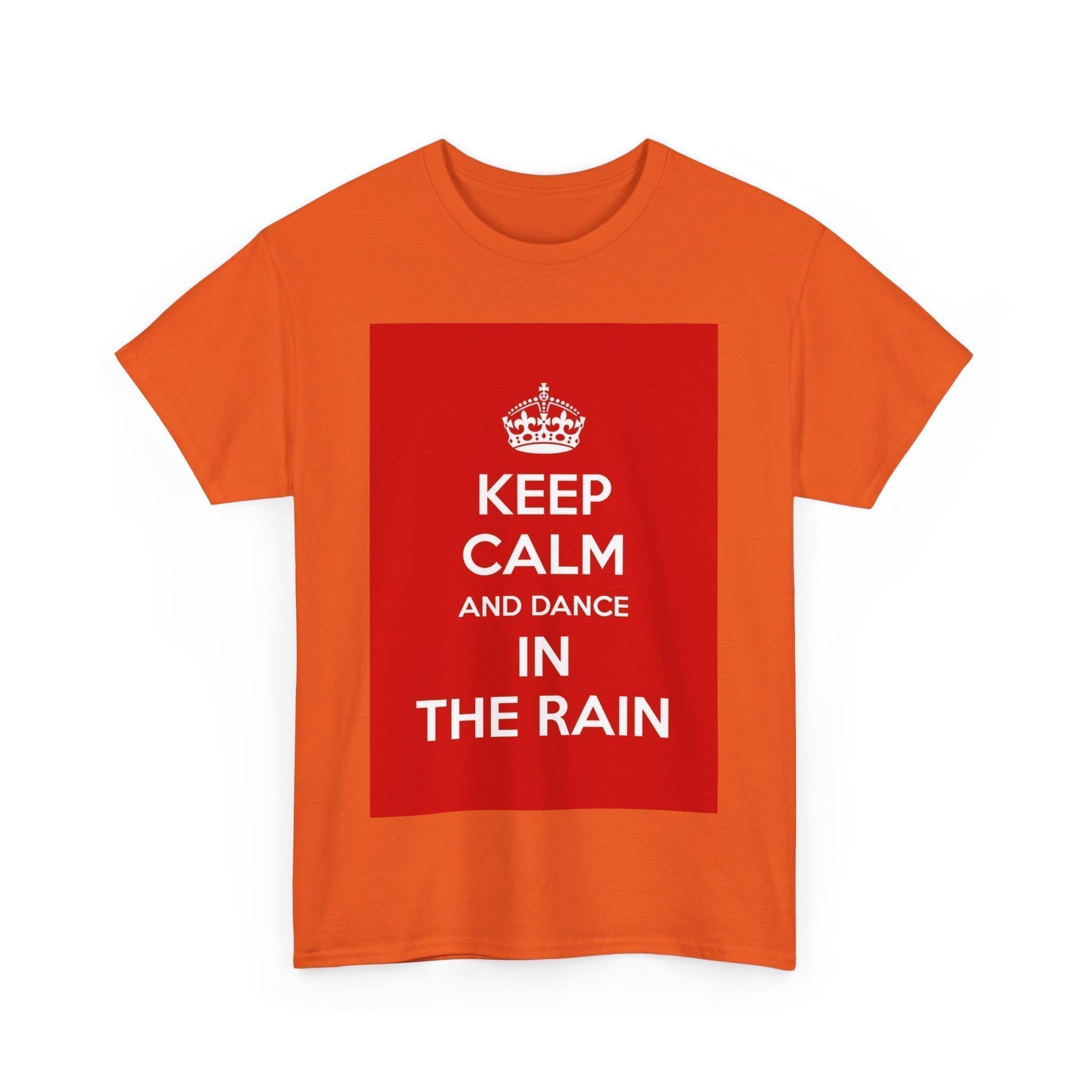 Keep Calm & dance in the rain unisex heavy cotton tee  _43_2048.jpeg