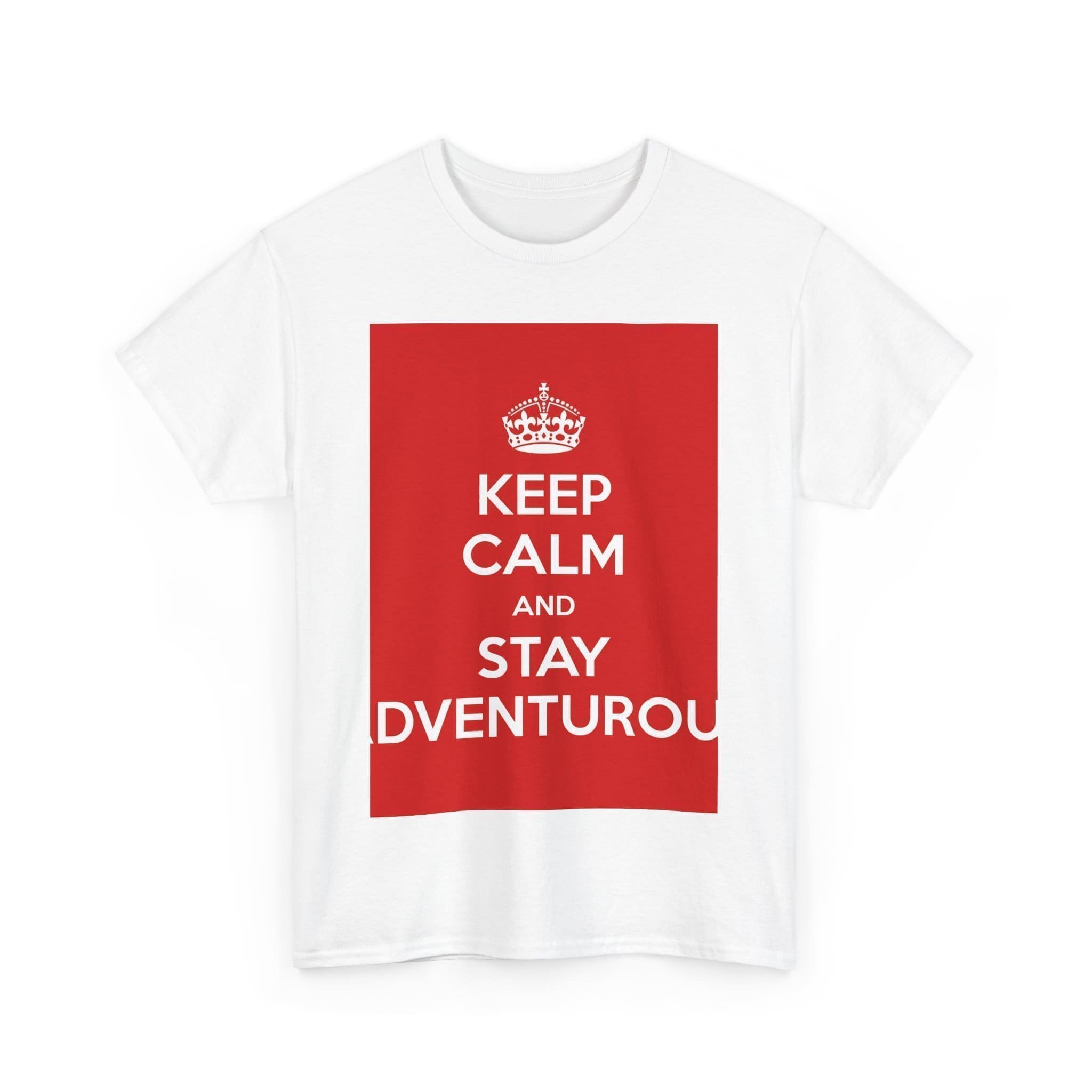 Keep Calm & stay adventurou unisex heavy cotton tee  _27_2048.jpeg