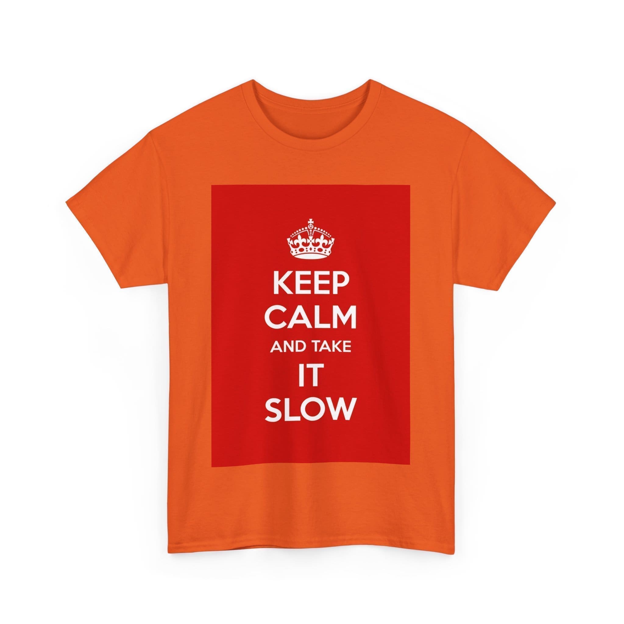 Keep Calm & take it slow unisex heavy cotton tee  _35_2048.jpeg