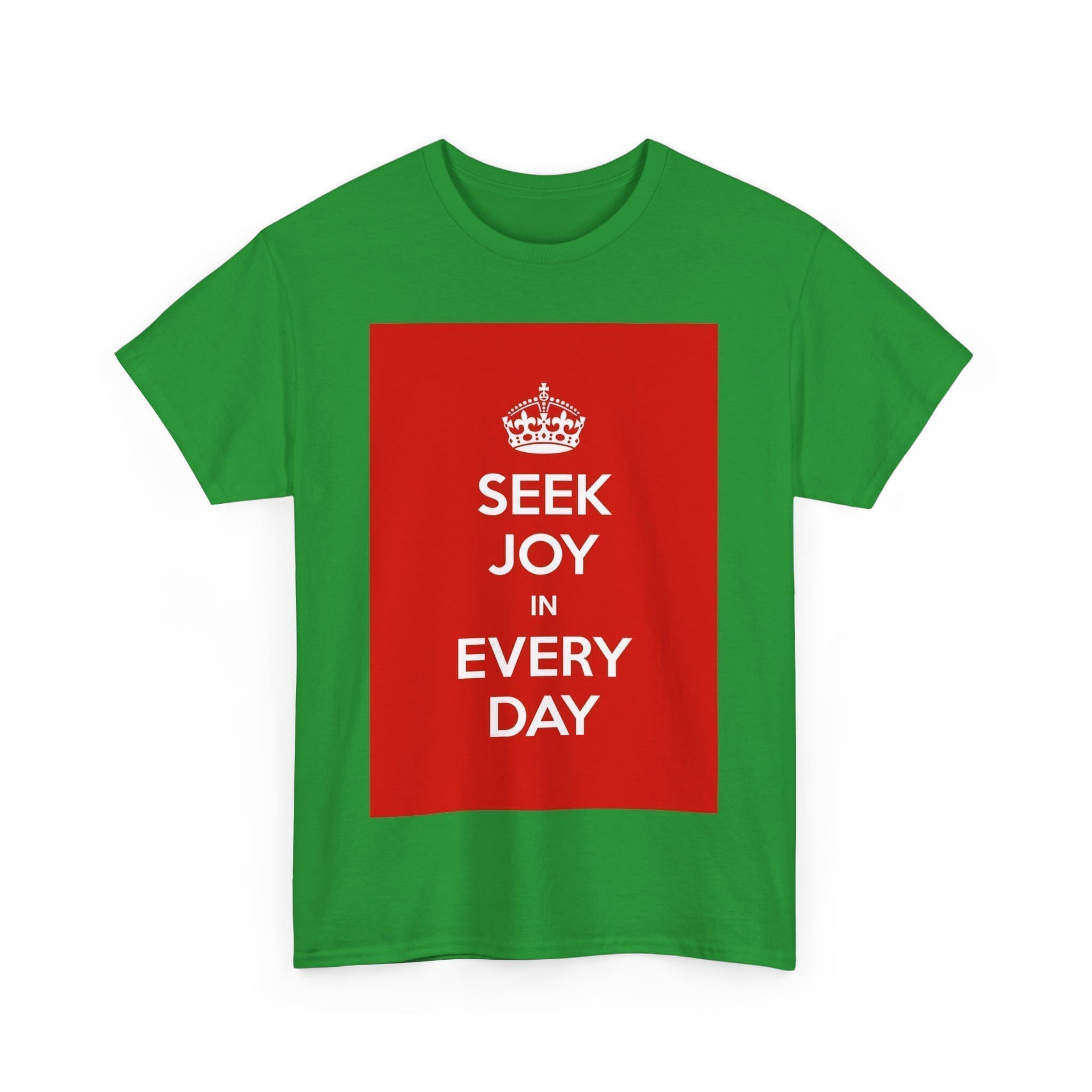 Seek joy in every day unisex heavy cotton tee  _47_2048.jpeg