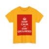 Keep Calm & stay grounded unisex heavy cotton tee  _11_2048.jpeg