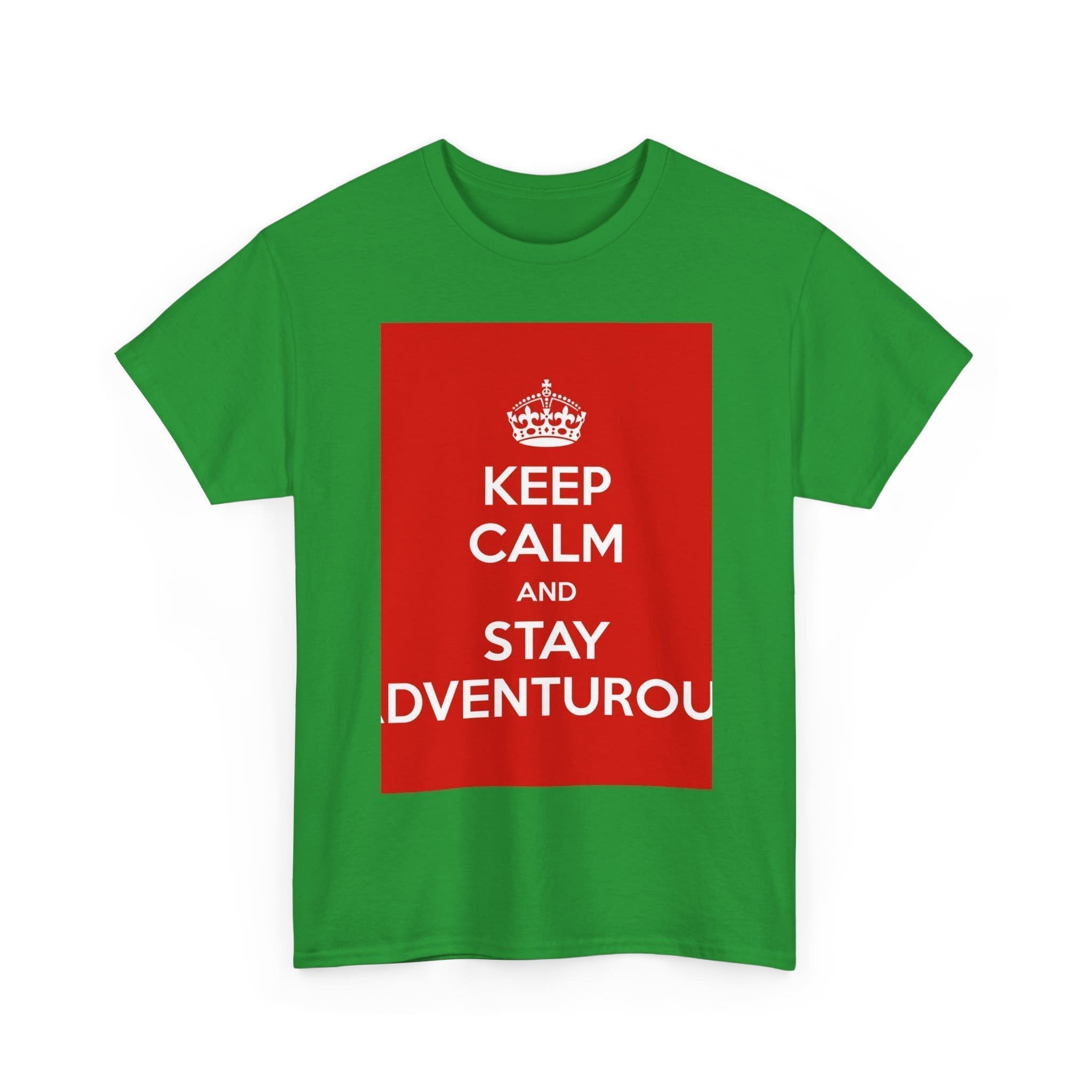 Keep Calm & stay adventurou unisex heavy cotton tee  _15_2048.jpeg