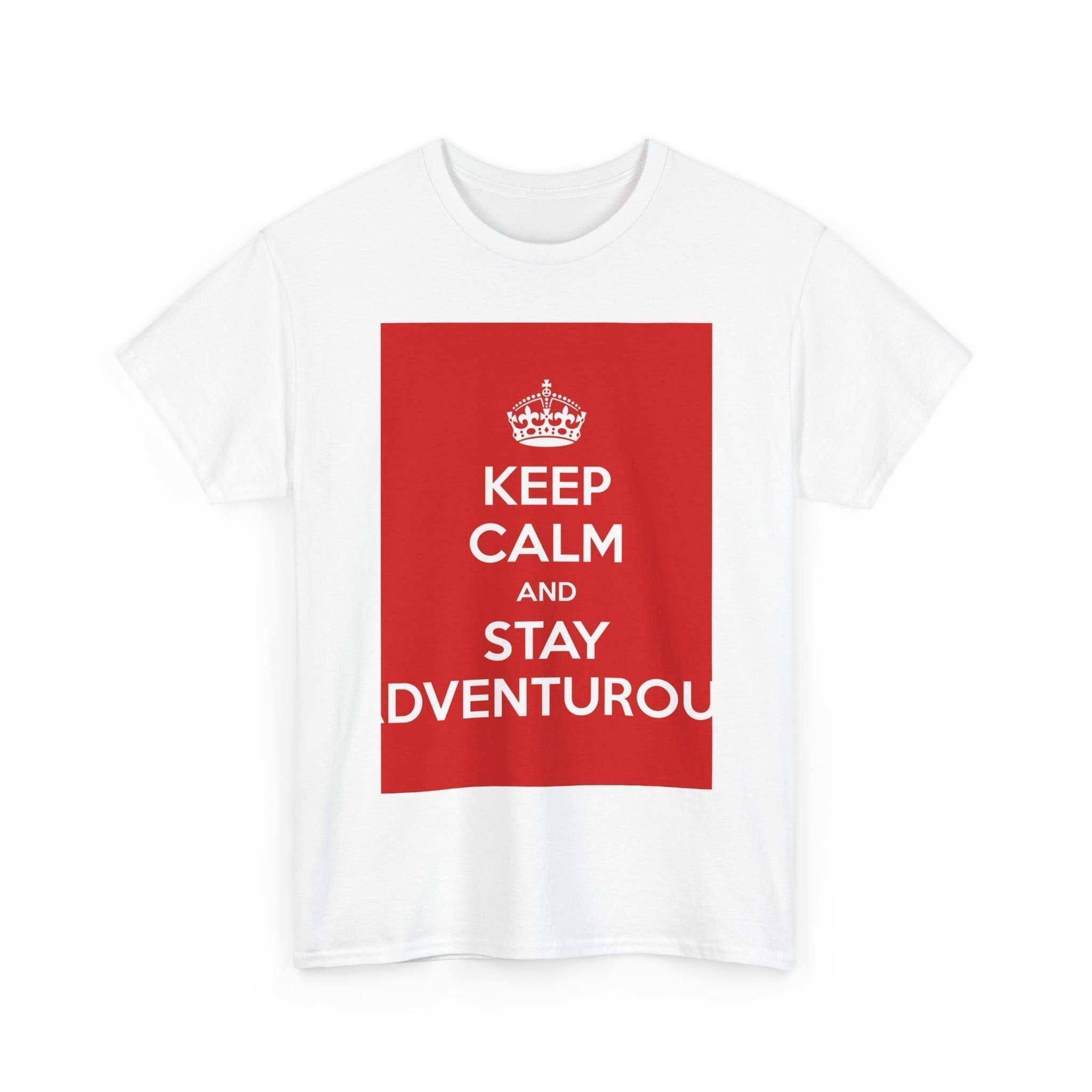 Keep Calm & stay adventurou unisex heavy cotton tee  _3_2048.jpeg