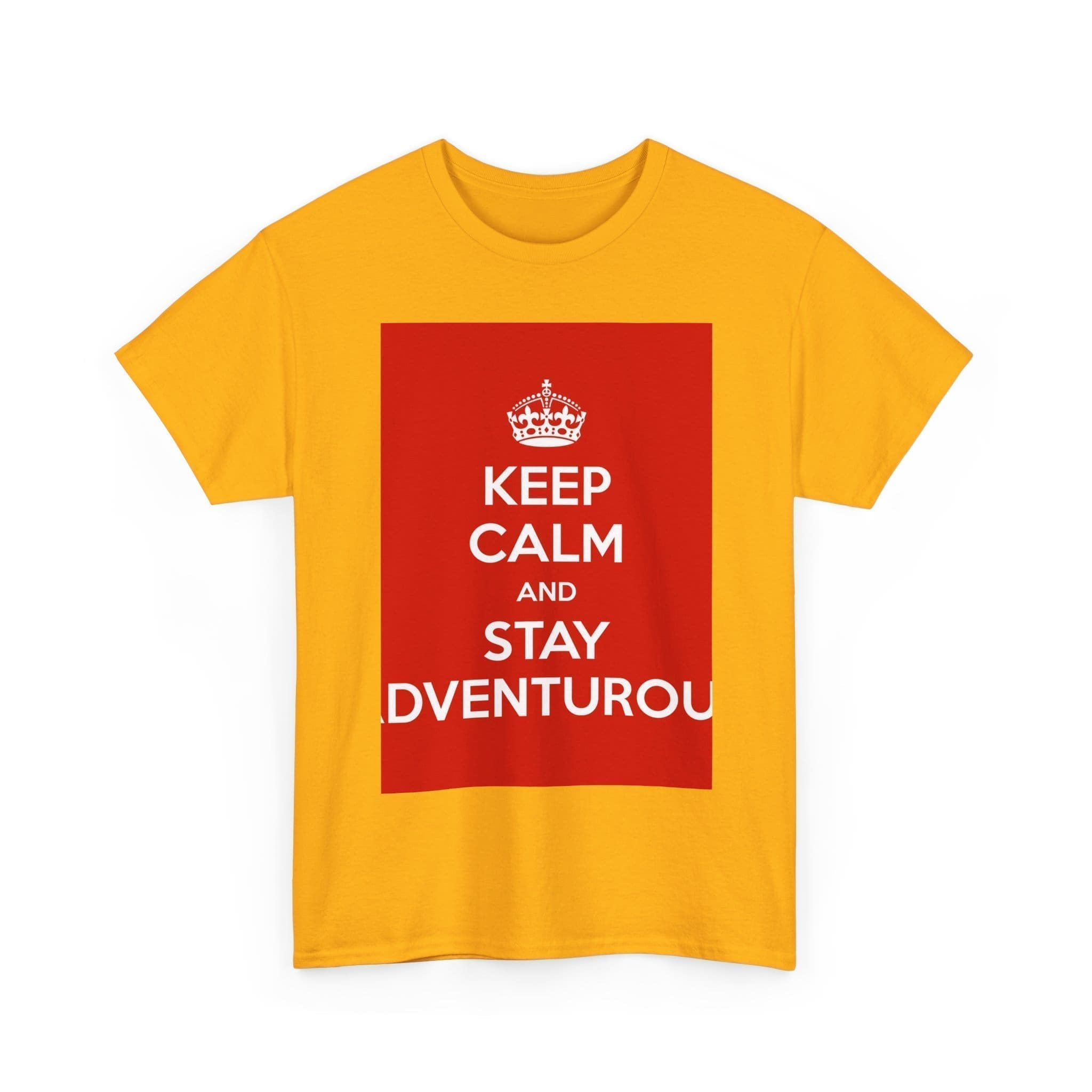Keep Calm & stay adventurou unisex heavy cotton tee  _11_2048.jpeg