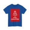 Keep Calm & stay childfree unisex heavy cotton tee  _19_2048.jpeg