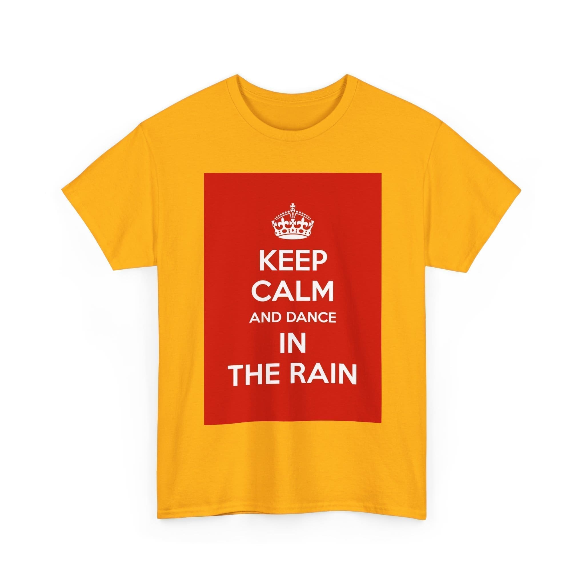 Keep Calm & dance in the rain unisex heavy cotton tee  _11_2048.jpeg